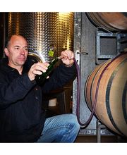 Weinbrunnen / Weingut Peter Landmann Bild 5