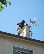 Stop Guêpes 02 image 2