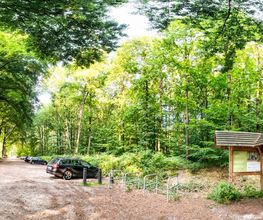 FriedWald Cloppenburg Bild 12