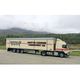 Martin Conrad Transport AG