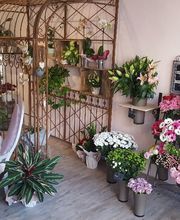 Dentelle De Fleurs image 6