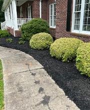 The Pine Needle Man Landscaping LLC image 6