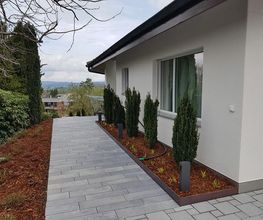 BRÜHWILER-GARTENBAU, BAUMPFLEGE Bild 12