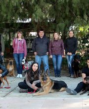 Piolcan Adiestramiento Canino y centro de formación imagen 10