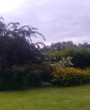 Voisine Services image 6