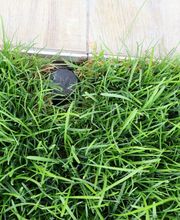 Concept Extérieur image 5