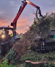 Forst- und Baumdienst Pels Bild 3