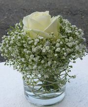 Blumen Steinhilber Weiden Bild 14