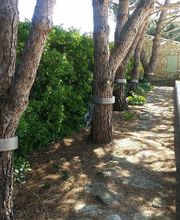 Lorillou Ets image 12