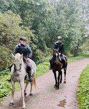 Cerdanya Eqüestre imagen 19