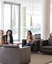 Terapia asistida con perros en el Tanatorio Àltima Ronda de Dalt en Barcelona