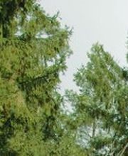 Schilling Hermann KG Bild 2