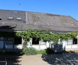 Reitschule Lautlos Bild 6