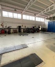 Euromaster Leonardo Gomme immagine 7