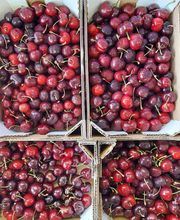 Epicerie Pont-Céard Bild 13