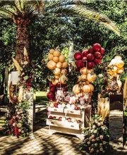 Decoglobos Las Palmas imagen 11