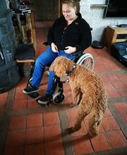 Deinhundhilft.de Bild 10