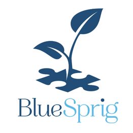 BlueSprig Oak Harbor - ABA Therapy for Autism
