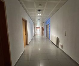 300095312-1-nRdCpk5Tbi1742395261216.jpeg