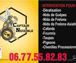 Captain Nuisible image 13