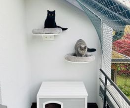 Stöckli Katzenschutz GmbH Bild 12