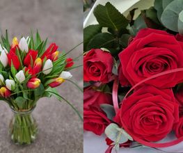 Les Serres et Fleurs de Majolan image 19