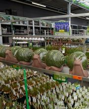 HORNBACH Gartencenter Nürnberg Bild 3