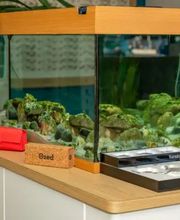 Optikou d'oeil - Opticien Saint-Génies-de-Malgoirès image 9