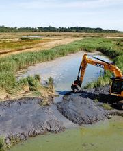 Gorichon Père Et Fils SARL image 16