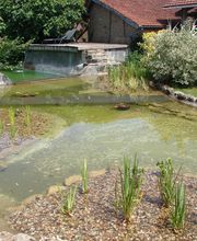 SARL ESCARMANT BENJAMIN image 3