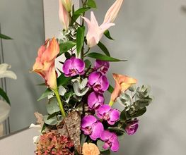 Floralia image 13