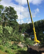 Jardins Arborés image 3