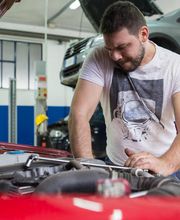 Gallery Professionale