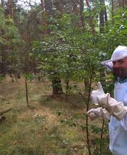 bioControl Schädlingsbekämpfung - Christian Hackel Blossin Deutschland