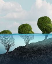 Maida Martín - Neurofeedback imagen 4