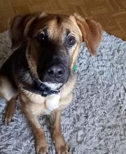 Titan le nouveau membre de notre équipe