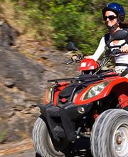 Martaille Motoculture image 1