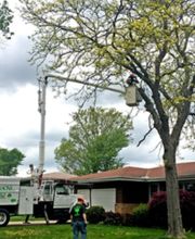 Jim's All Seasons, LLC image 3