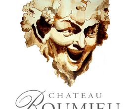 CHÂTEAU ROUMIEU image 5