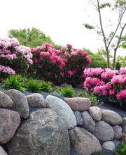 Walter Schmitz Gärten für Auge und Seele Bild 11