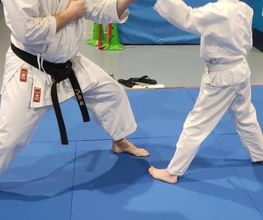 ASPB KARATE BUDO image 15