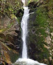 Gîte du Pré Chapy image 8