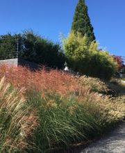 Varanda GmbH Bild 12