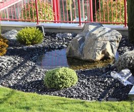 BRÜHWILER-GARTENBAU, BAUMPFLEGE Bild 1