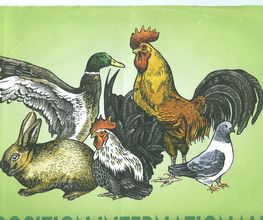 Bouhier image 6