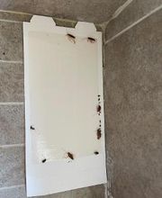Source Pest Control image 13