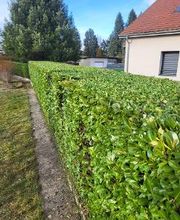 Daniel Moquet signe vos jardins - Ent. Harmony Paysage image 10