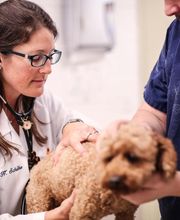 Pound Ridge Veterinary Center image 8