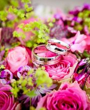 Las Flores de Carlos imagen 8