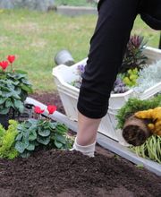 Genossenschaft Kölner Friedhofsgärtner eG Bild 10